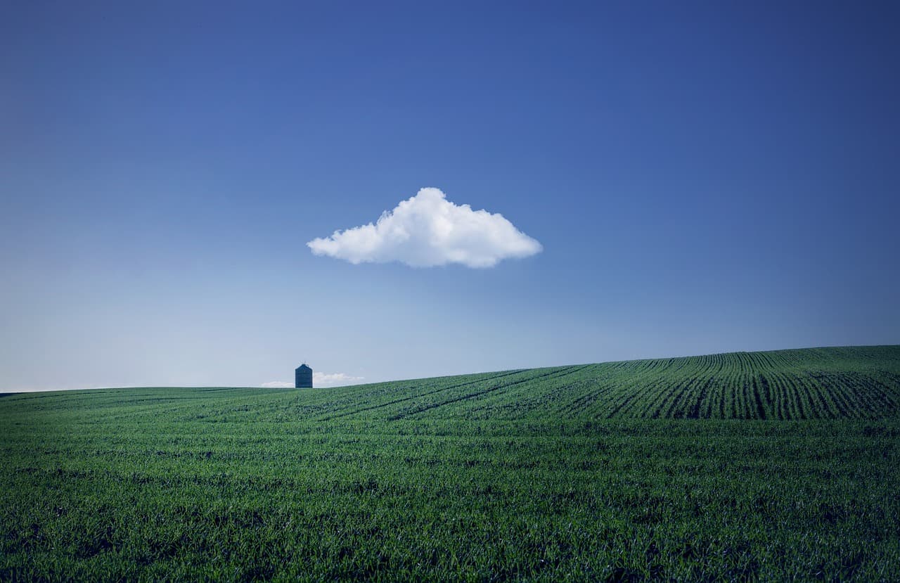 Rendita agricola e sostenibilità: l’ascesa dell’agrivoltaico in Italia