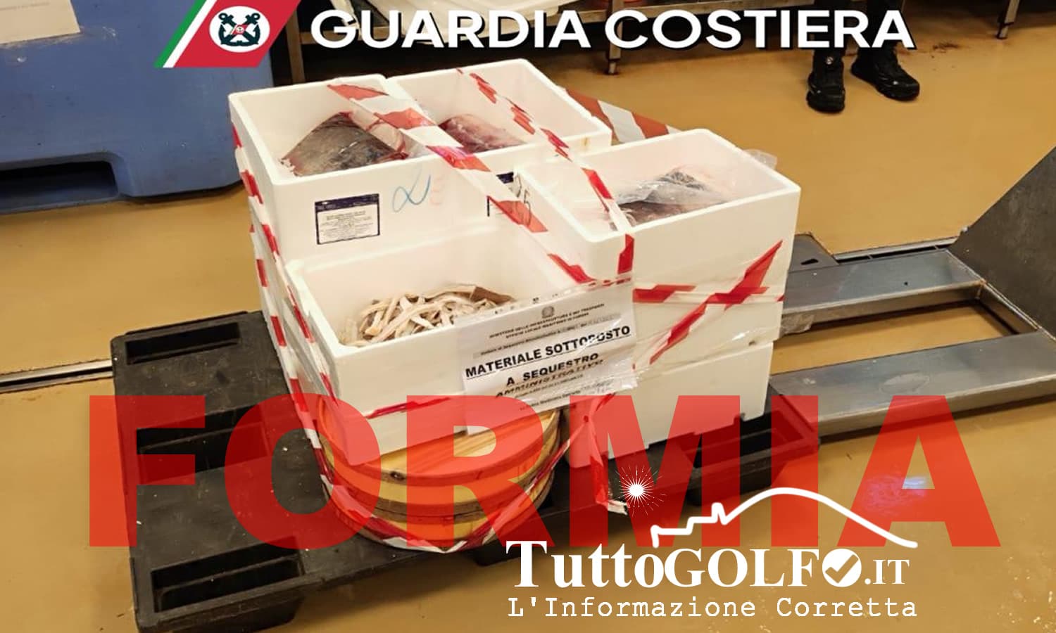 Formia, sequestrati quasi 600kg di pesce in un ristorante etnico