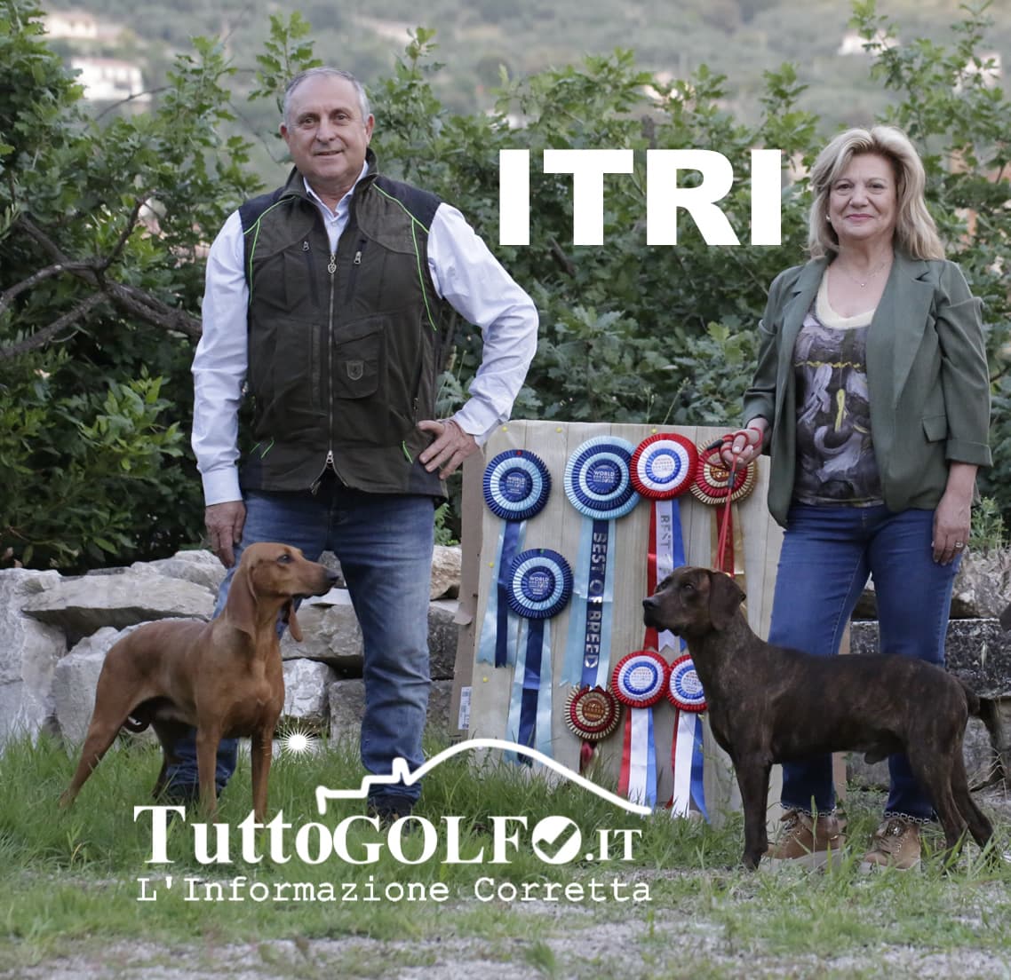 A Itri i migliori segugi al mondo. Importante riconoscimento all'allevamento di Campello