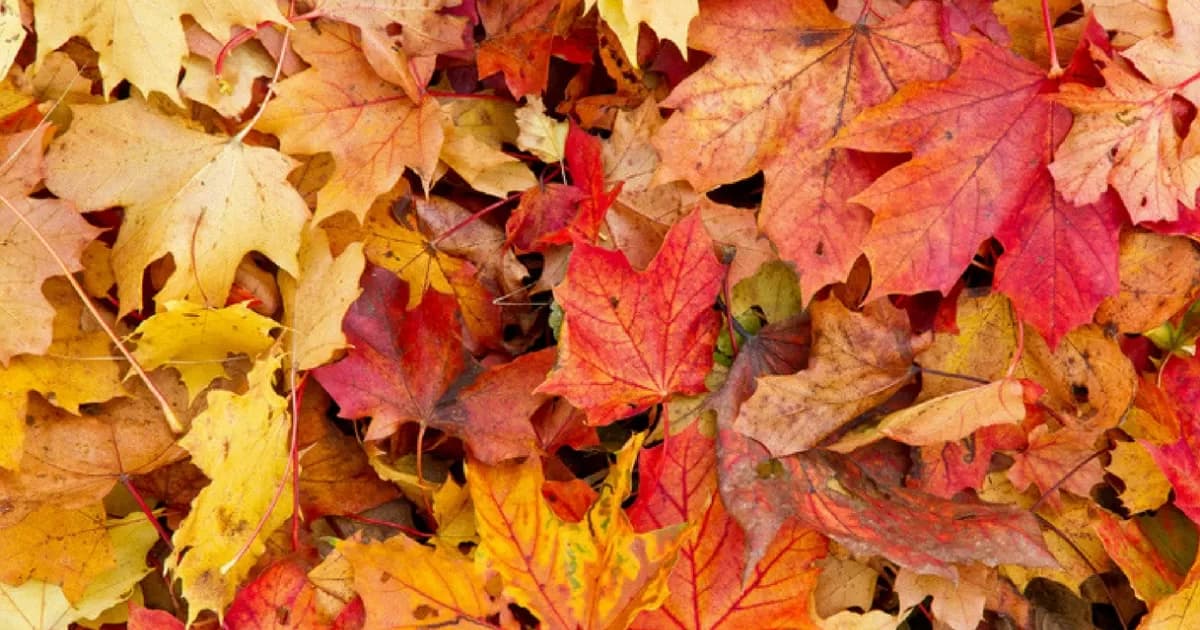 22 settembre, equinozio d'autunno