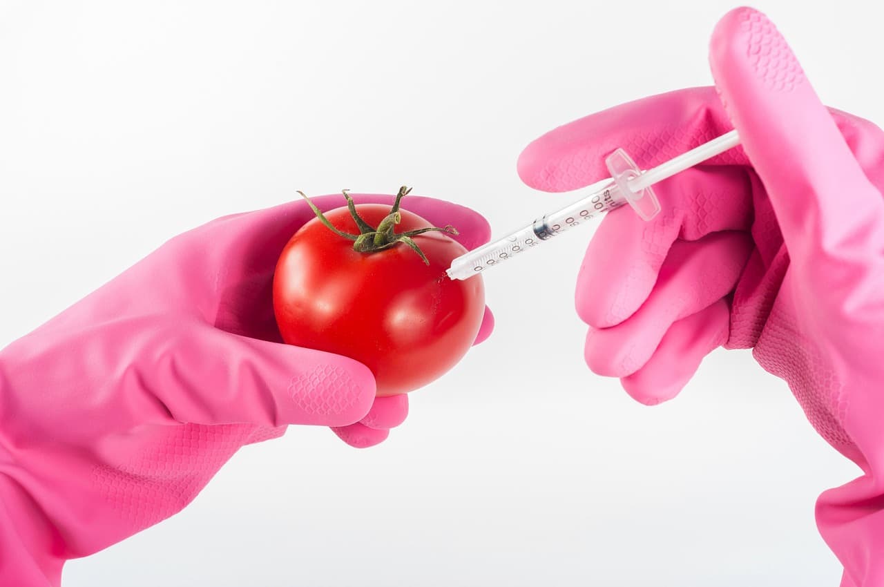 Il Golfo di Gaeta guarda al futuro: cibo dall’anidride carbonica per nutrire il pianeta