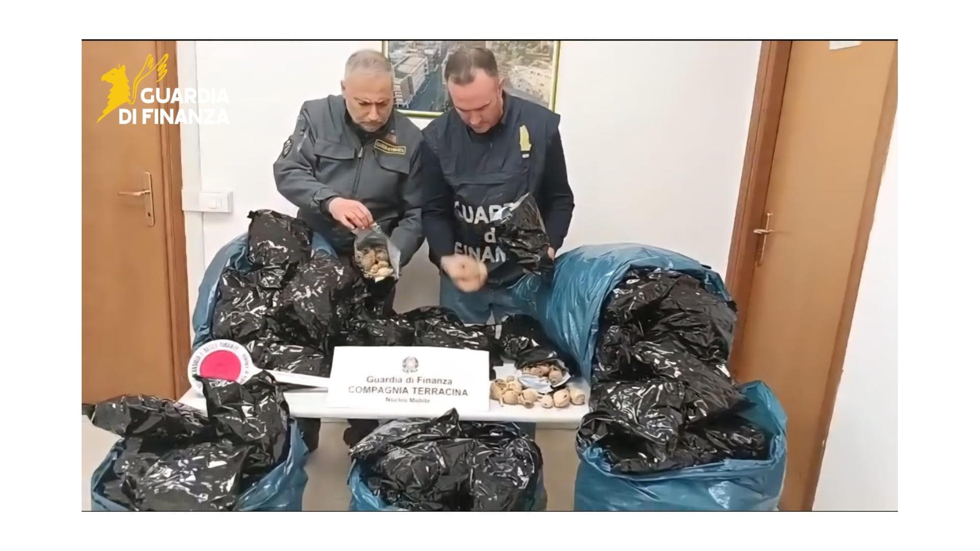 GdiF LATINA: SEQUESTRATI OLTRE 20 KG DI BULBI DI PAPAVERO DA OPPIO. TRATTO IN ARRESTO