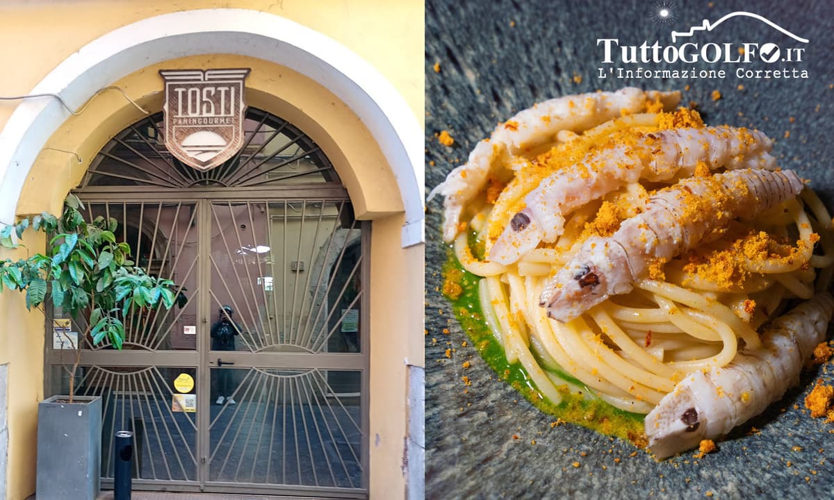 Tosti Panin Gourmet, quando il panino diventa arte culinaria