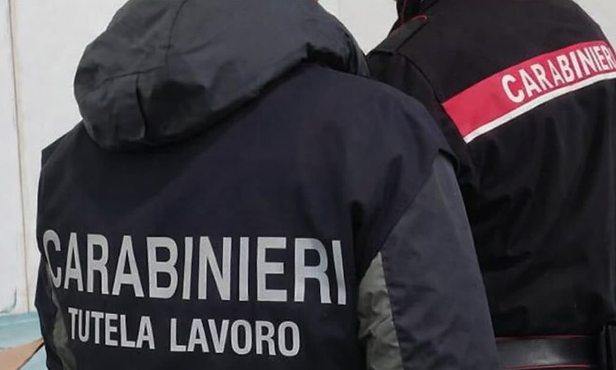 Ispezione in un’azienda agricola. I Carabinieri denunciano il titolare