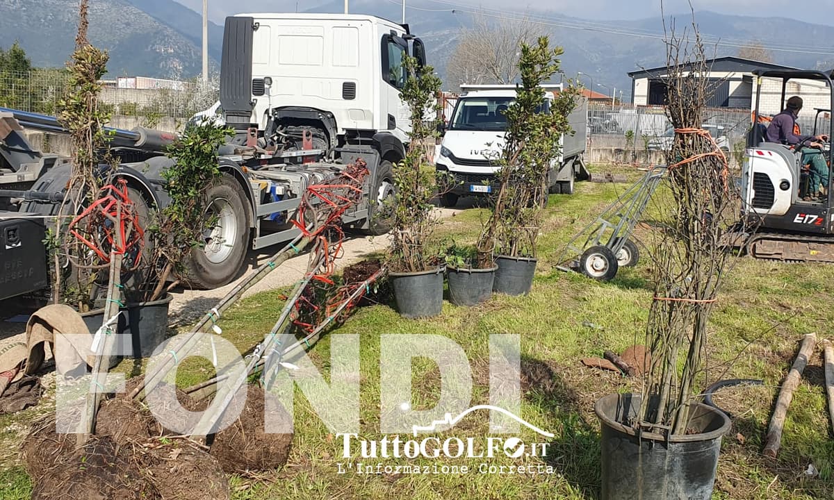 Fondi - Bando Ossigeno: al via le piantumazioni di oltre 800 tra piante e arbusti