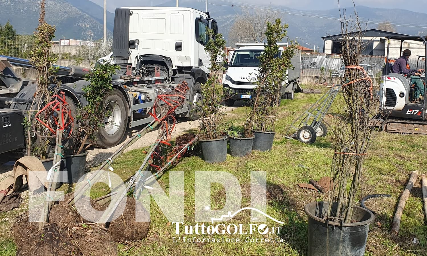 Fondi - Bando Ossigeno: al via le piantumazioni di oltre 800 tra piante e arbusti