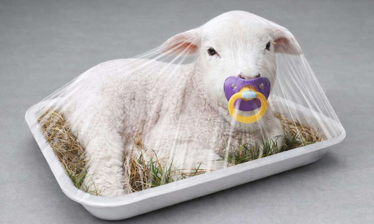 Mangiare l’agnello a Pasqua: tradizione, simbolo o scelta personale?