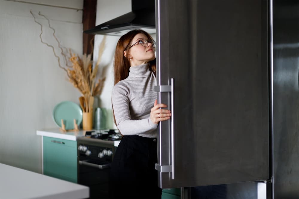 Nuovo frigorifero, tutto quello che bisogna sapere prima dell’acquisto