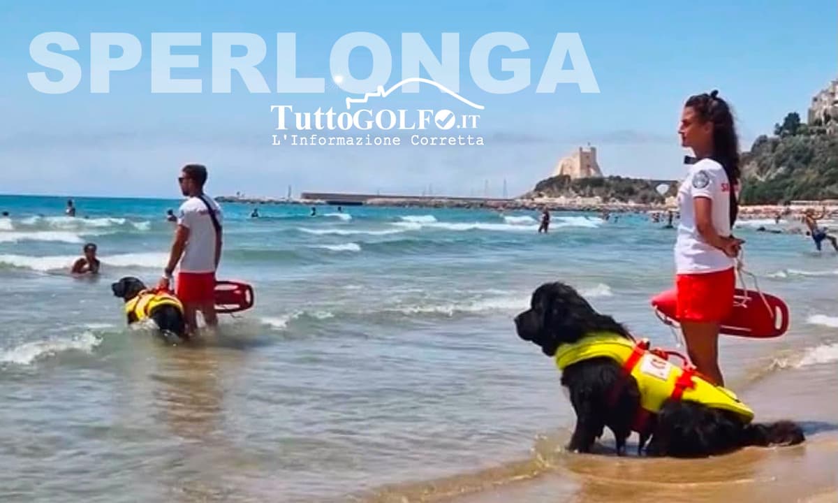  A Sperlonga tornano i cani bagnino