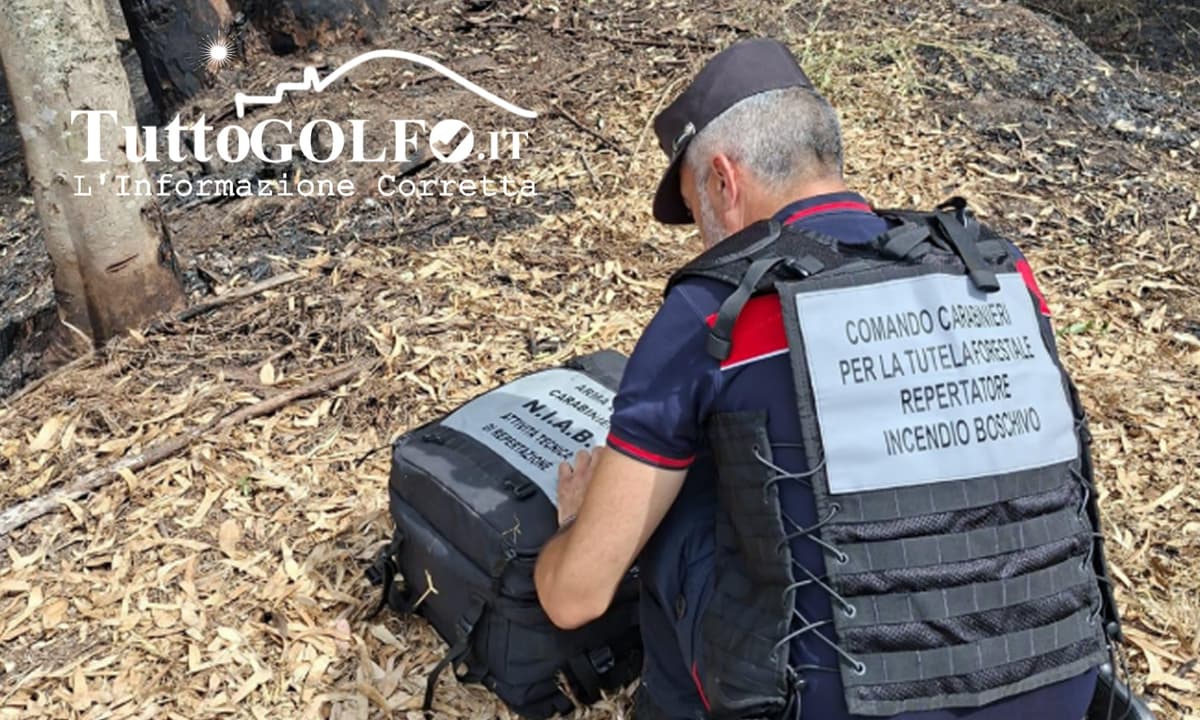 Una cicca accende il rogo: i Carabinieri Forestali individuano il presunto responsabile