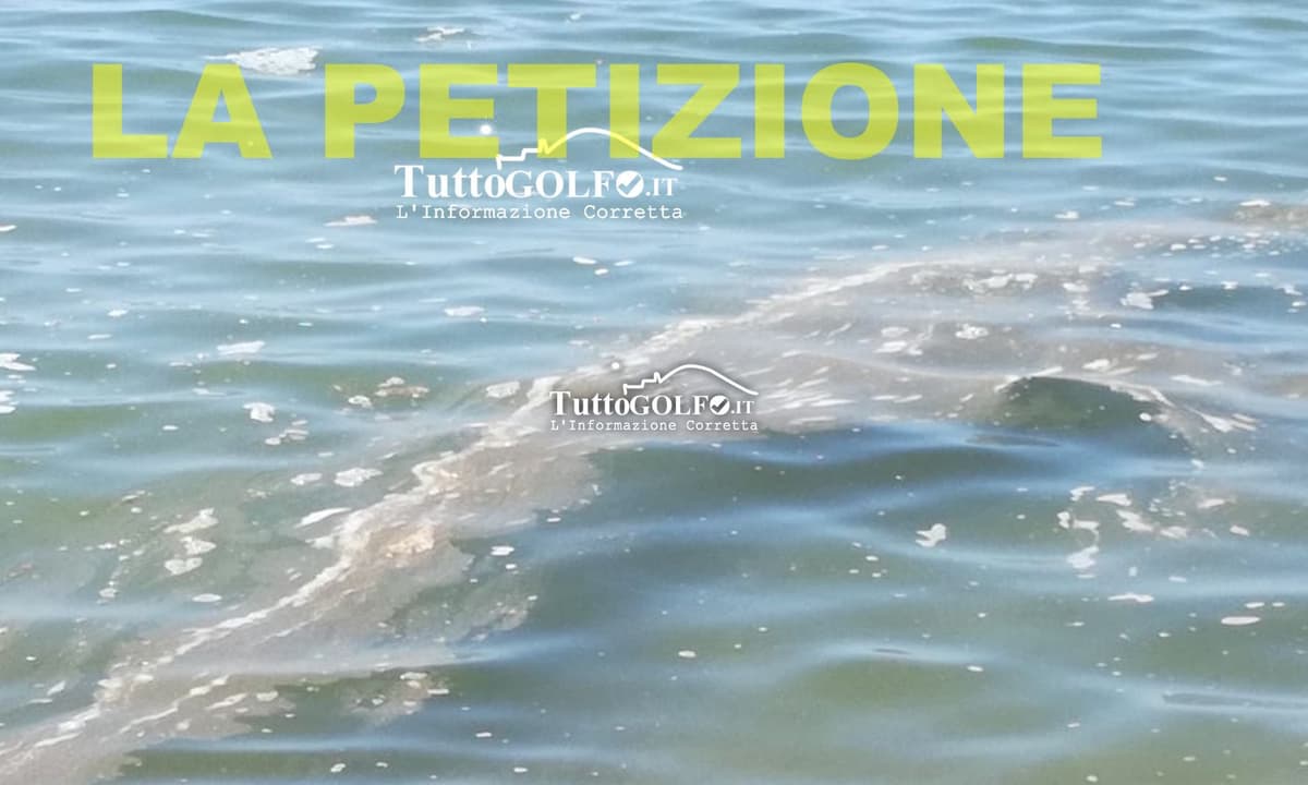 Petizione per il mare del Golfo di Gaeta: un appello alle istituzioni per proteggere l'ecosistema