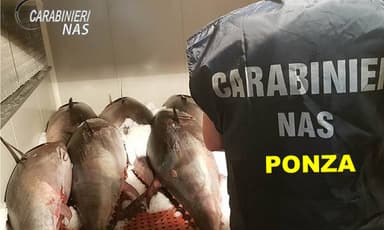 Ponza, blitz dei Carabinieri: sequestrati 12 chili di pesce e multa da 2mila euro a un ristorante