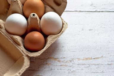 Salmonella nelle uova, 306 casi in Belgio: allerta europea, coinvolta anche l’Italia