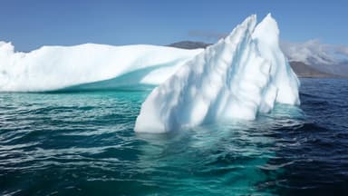 I virus “zombie” sotto il ghiaccio. Virus antichi intrappolati nel permafrost
