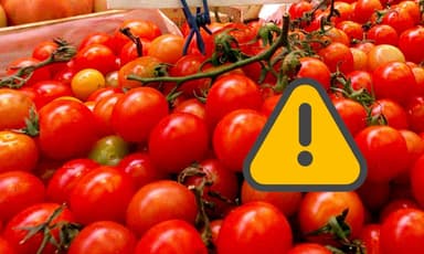 Richiamato un lotto di pomodoro ciliegino per possibile presenza di Salmonella
