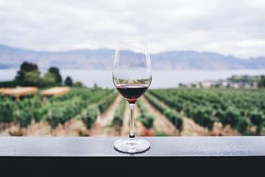 Imparare a degustare: i passaggi fondamentali per apprezzare un calice di vino senza essere sommelier