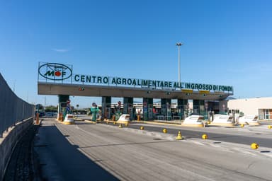 Il MOF torna a Fruit Attraction: fare sistema per crescere sui mercati internazionali