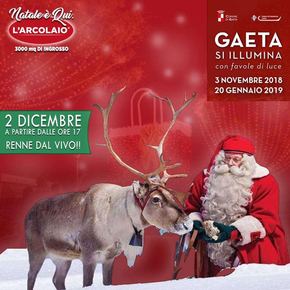 A Gaeta arrivano le renne di Babbo Natale!