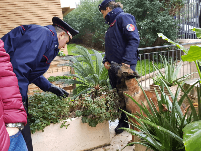 Gaeta- Servizio coordinato finalizzato al contrasto dello spaccio di sostanze stupefacenti
