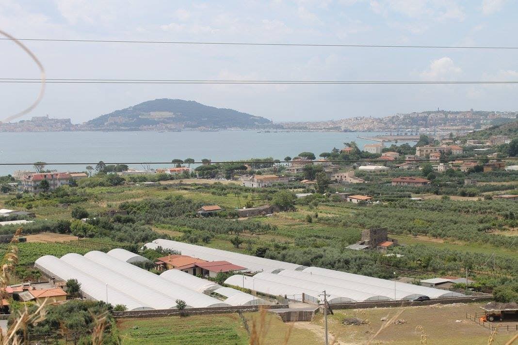 Azienda agricola `Cicerone`, passione a km zero
