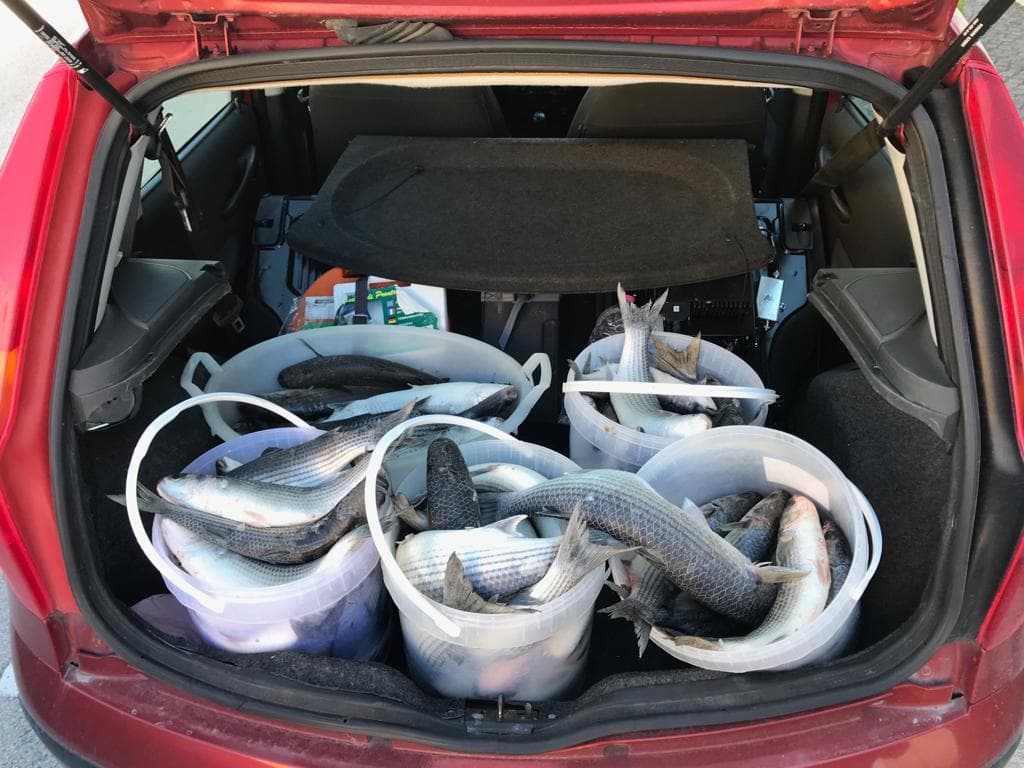 Gaeta: giro di vite alla pesca di frodo lungo il litorale di levante della “Riviera di Ulisse”