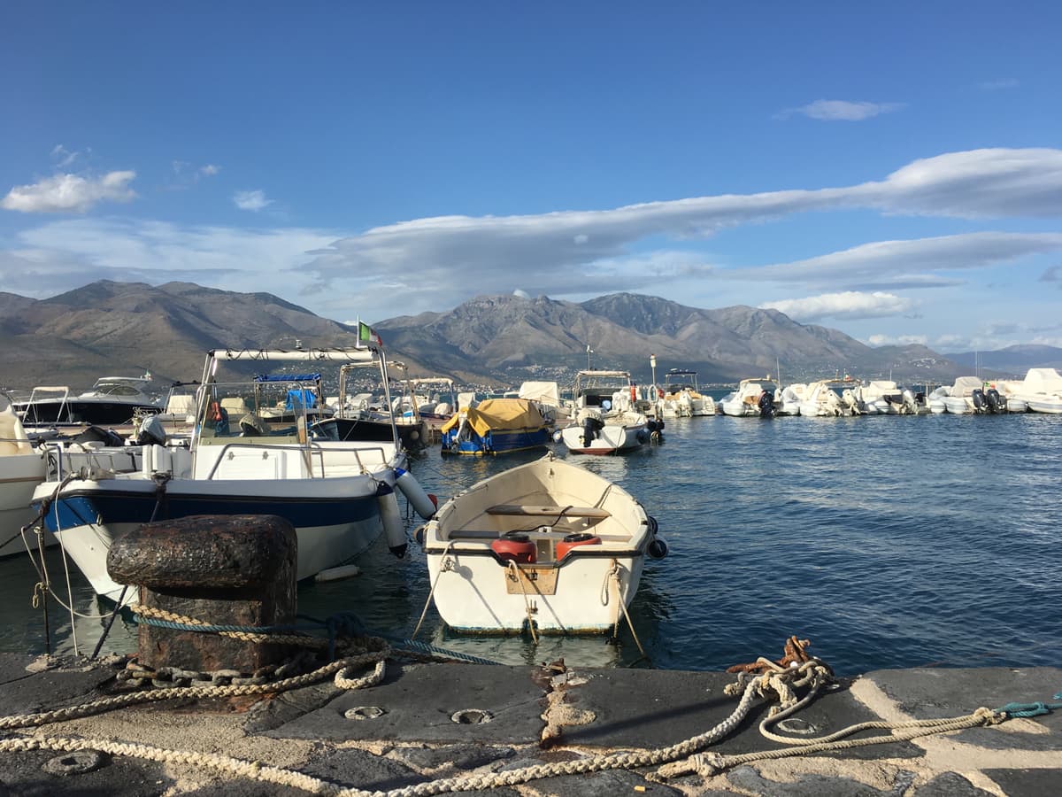 Struttura asta del pesce, il via libera del consiglio comunale