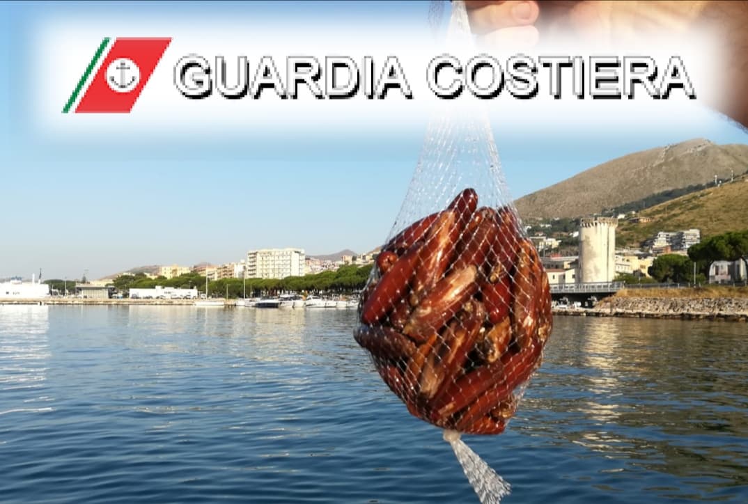 Scoperta e bloccata banda di pescatori di frodo di datteri di mare