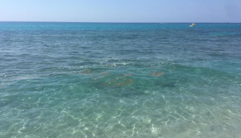 Inquinamento nel Golfo: le associazioni chiedono l’estensione dell’area sensibile