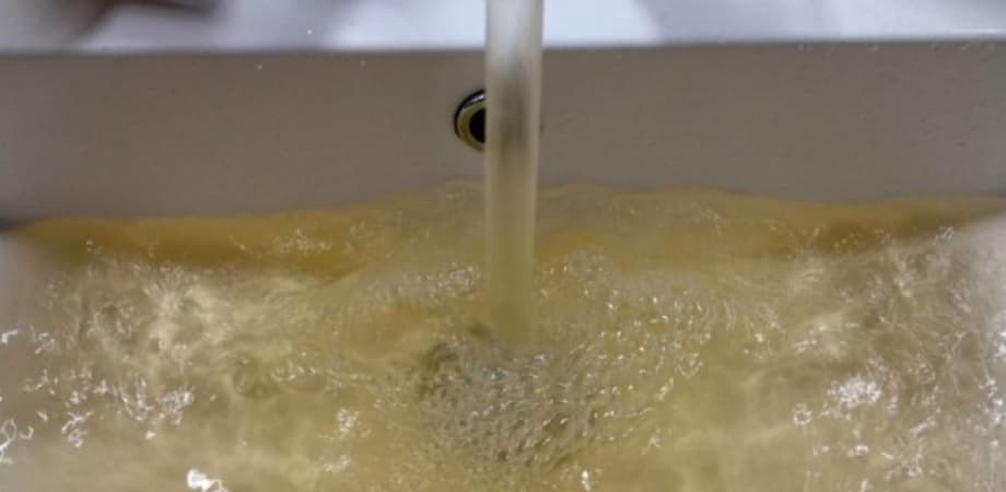 Torbidità dell'acqua, accertata la presenza di batteri coliformi