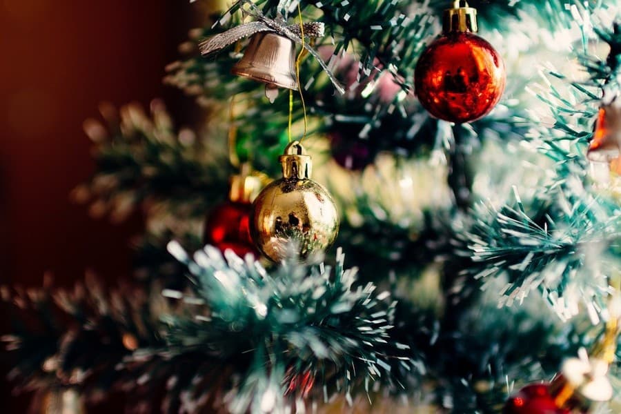 Formia, prima edizione della mostra-concorso "Il mio Albero di Natale Green"