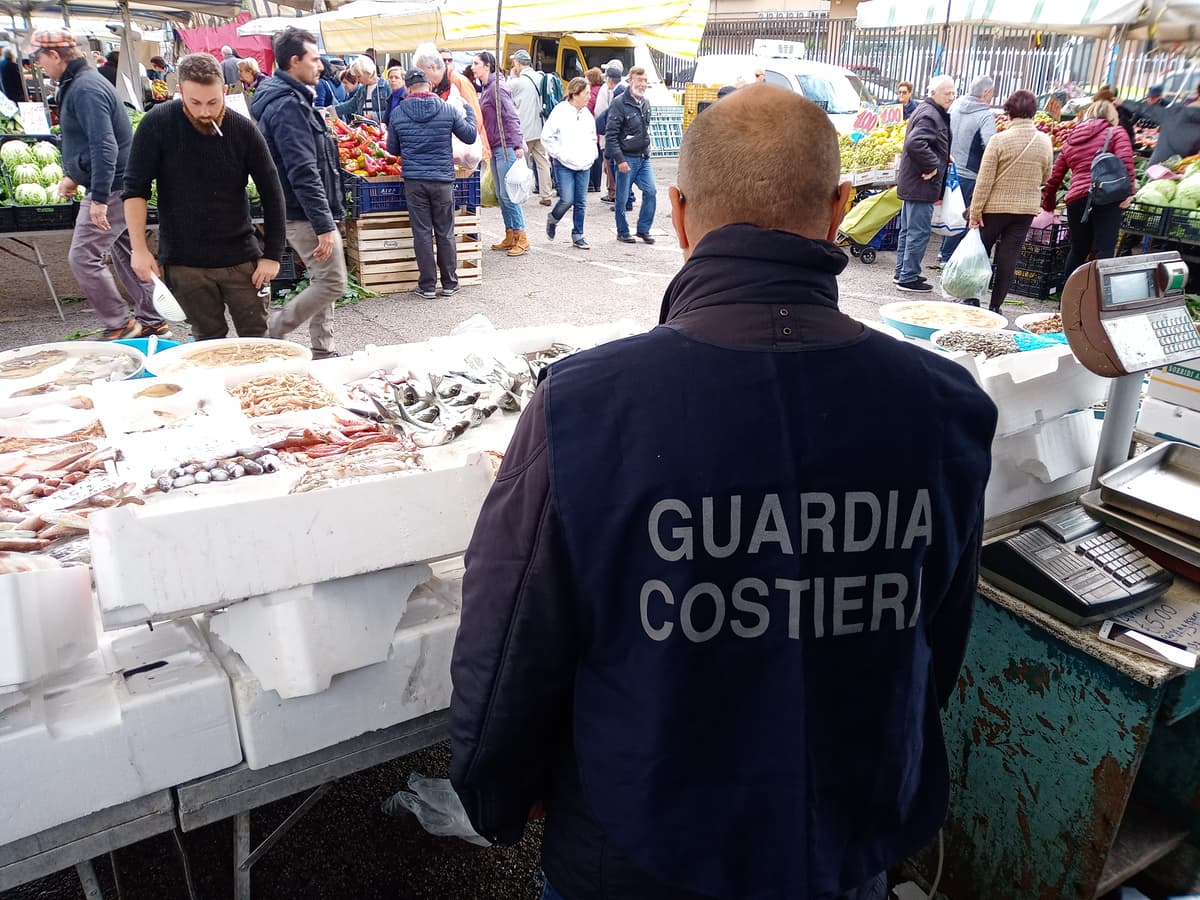 FORMIA - GAETA - MINTURNO - PONZA - VENTOTENE