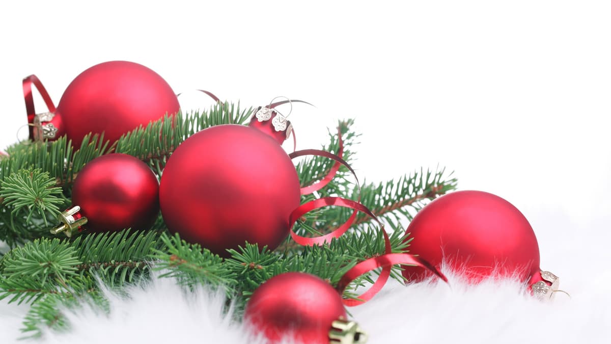Programma eventi "Natale Green - anche quest'anno il Natale a Formia è Verde"