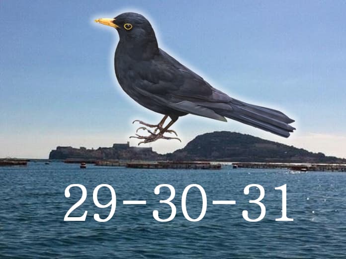 Il meteo nel Golfo durante i Giorni della Merla
