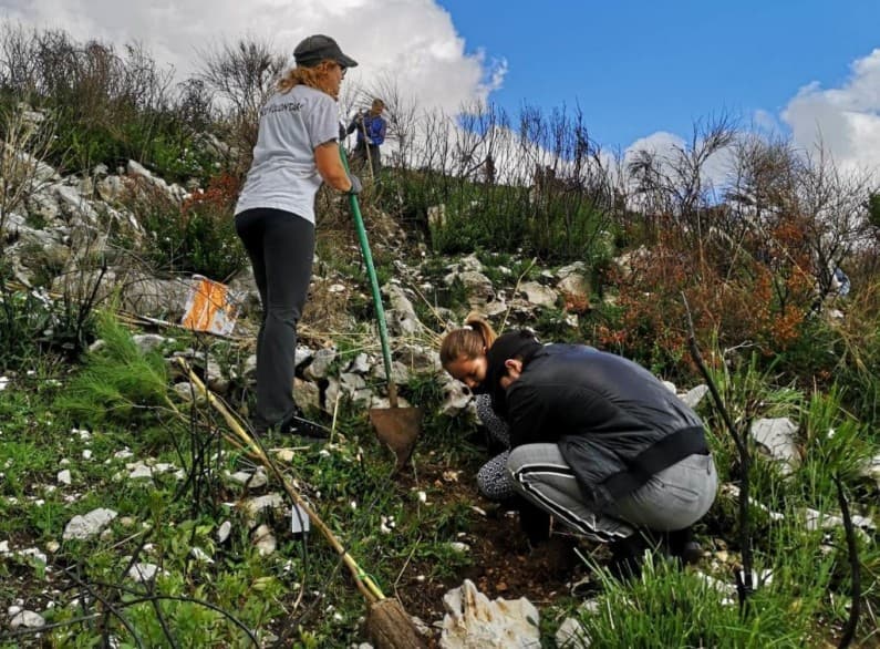 Formia - Festa dell’albero, si apre la possibilità di riforestazione del Monte Redentore
