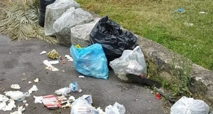 Santi Cosma e Damiano; Installate foto-trappole per contrastare l'abbandono dei rifiuti