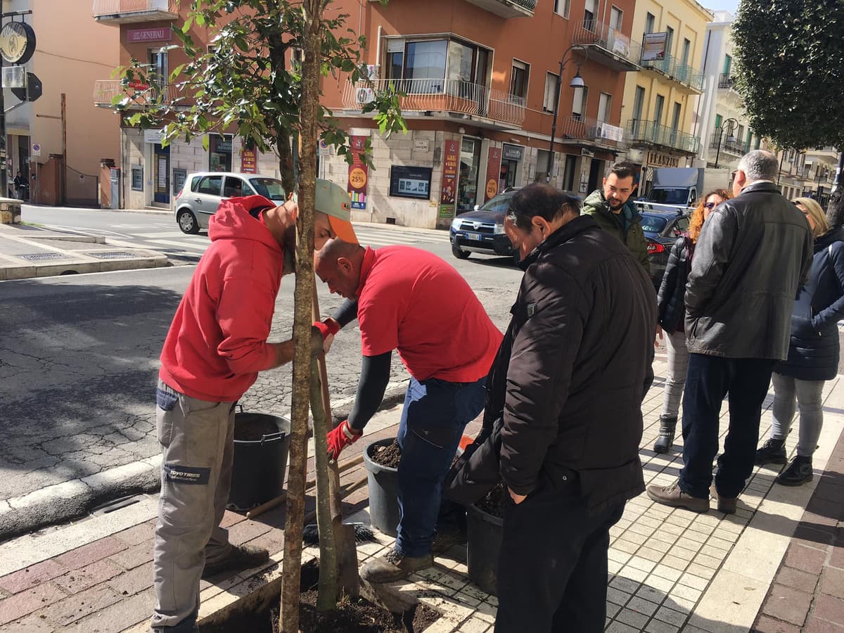 Il Comune di Formia aderisce a "m'illumino di meno 2020"