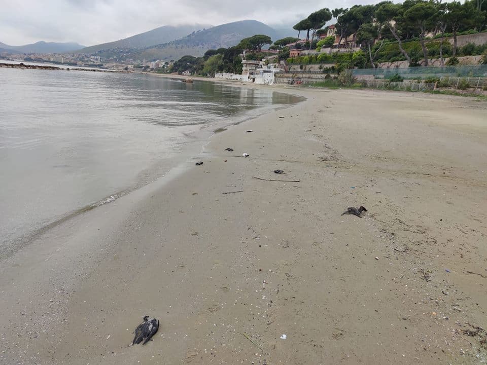 Berte minori morte sul litorale formiano