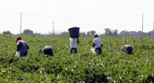 FONDI - Sfruttamento del lavoro e intermediazione illecita