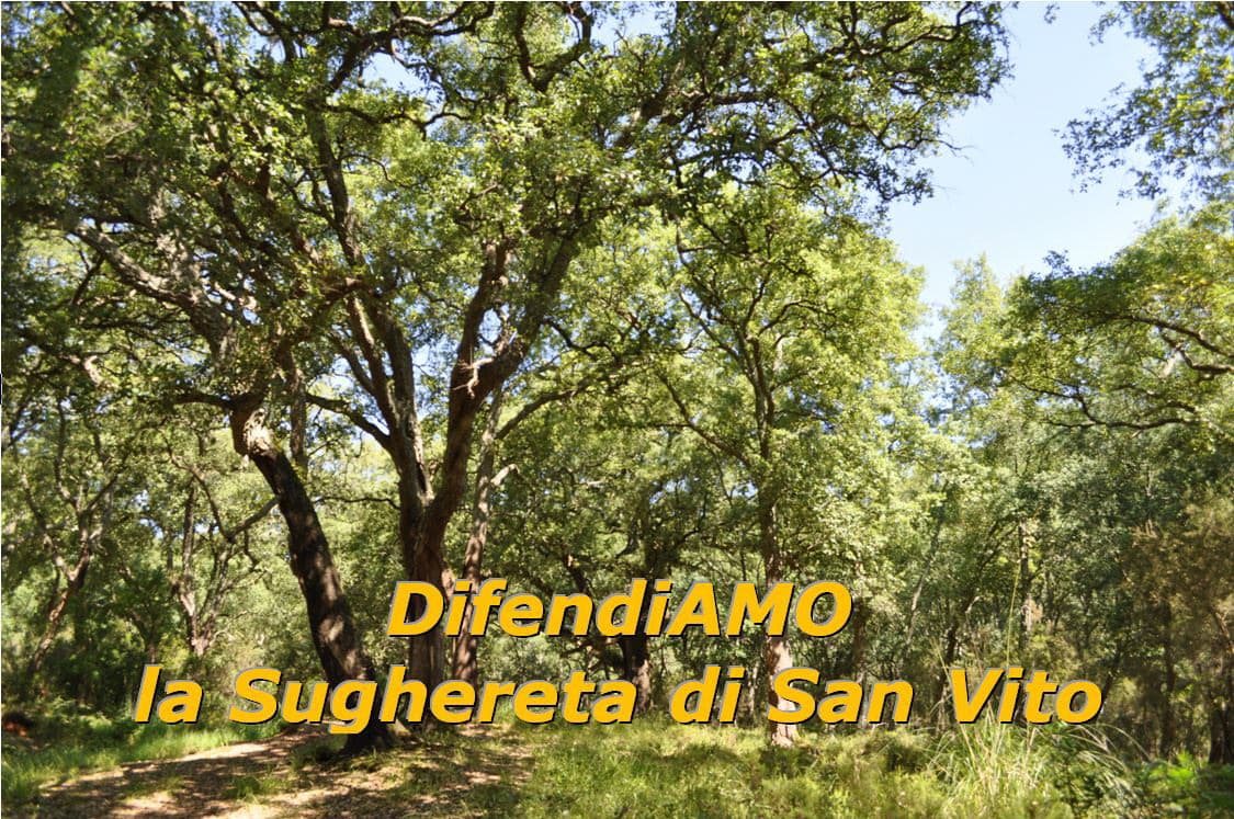 PARCO MONTI AUSONI: DIFENDIAMO LA SUGHERETA DI SAN VITO A MONTE SAN BIAGIO