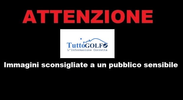 Immigrato cucina un gatto e il video diventa subito virale, mentre quando l'eroe è il clandestino la notizia passa in sordina