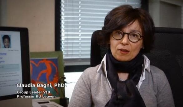 Castelforte conferisce la Cittadinanza Onoraria alla dottoressa Bagni. Pompeo: "Orgogliosi di avere tra i nostri cittadini onorari una donna e una grande scienziata"