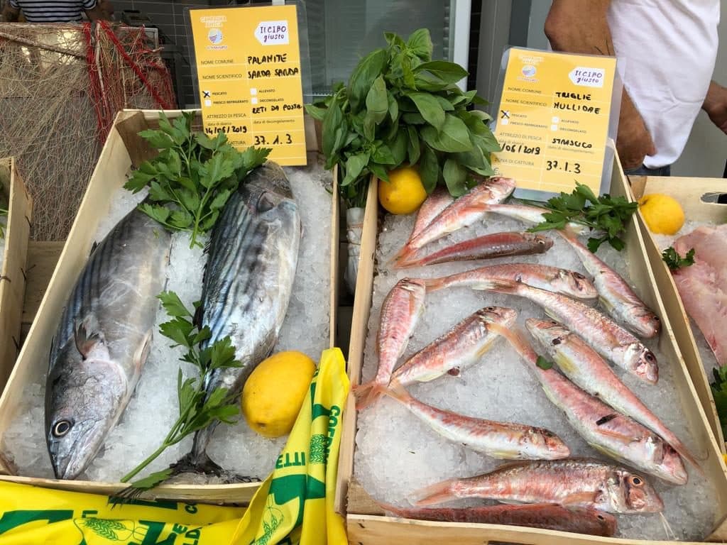 FERMO PESCA, DAL 14 SETTEMBRE AL 13 OTTOBRE