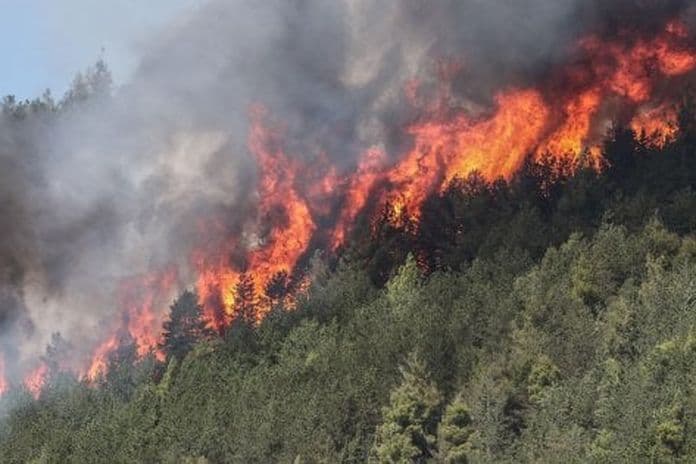 ITRI, BRUCIA MONTE FUSCO