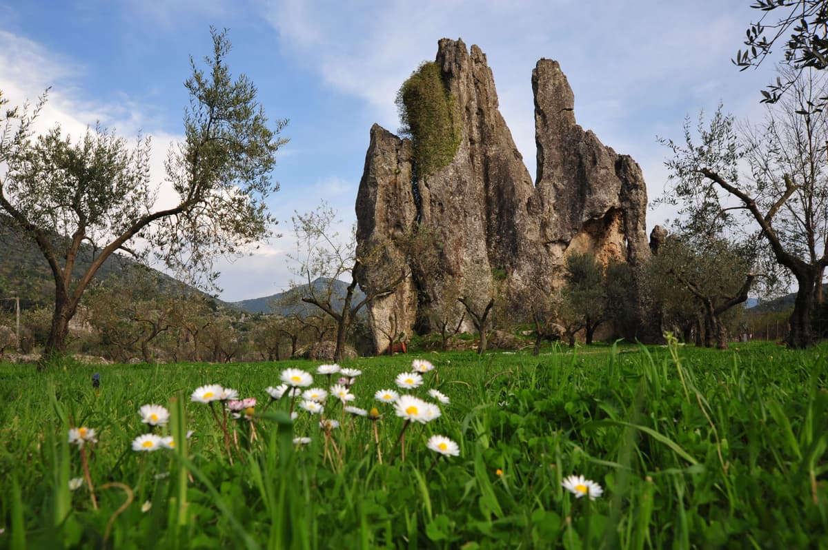 PARCO MONTI AUSONI E LAGO DI FONDI PRIMA RIUNIONE ON LINE PER IMPORTANTI ASPETTI DA AFFRONTARE