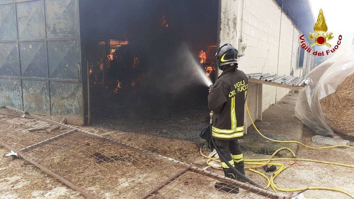 CASTELFORTE: INCENDIO IN UN'AZIENDA DI SUIO, SOLIDARIETA' DEL PRIMO CITTADINO