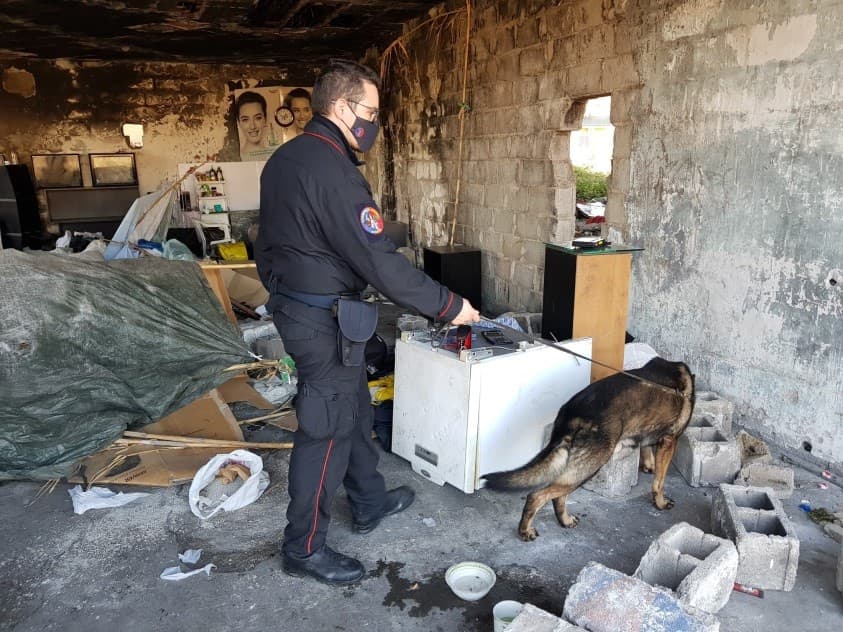 NIGERIANO SORPRESO DAI CARABINIERI NELLO STABILIMENTO EX SVAR CON COCAINA E MARIJUANA