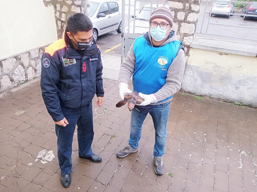 SANTO JANNI: TARTARUGA MARINA IN DIFFICOLTA' SALVATA DA UN FORMIANO