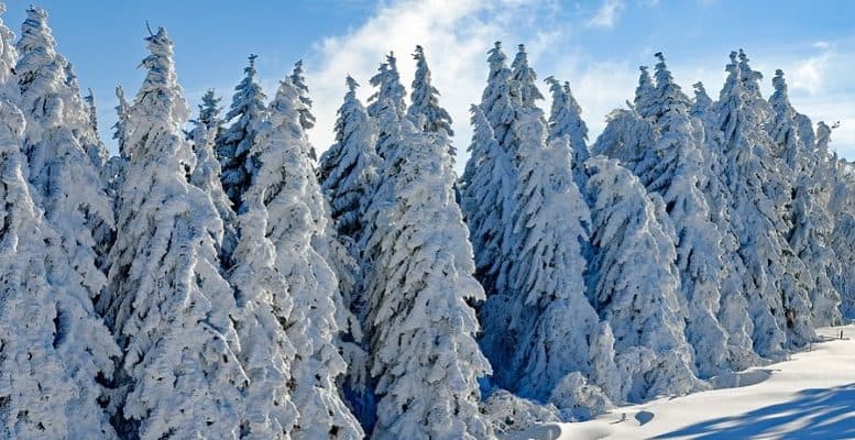 MALTEMPO: ALLERTA GIALLA SU 10 REGIONI E IN ARRIVO NEVE E PIOGGIA AL CENTRO SUD