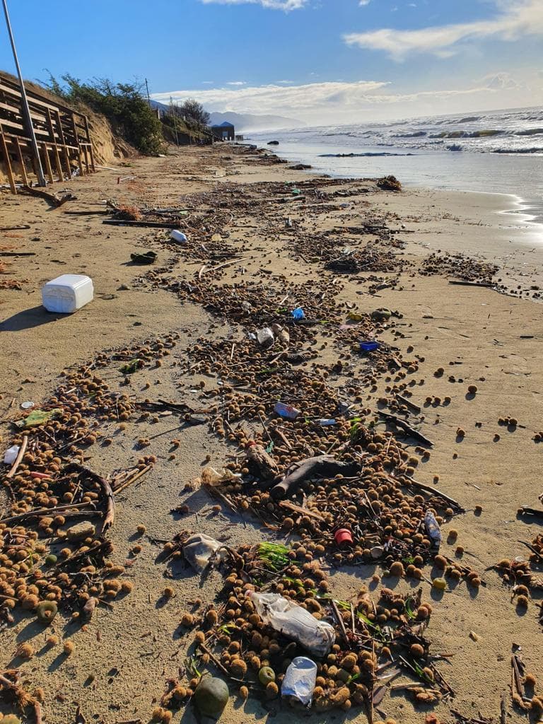 FONDI: RACCOLTI 100 QUINTALI DI LEGNA, ELETTRODOMESTICI, PNEUMATICI E UN MARE DI PLASTICA