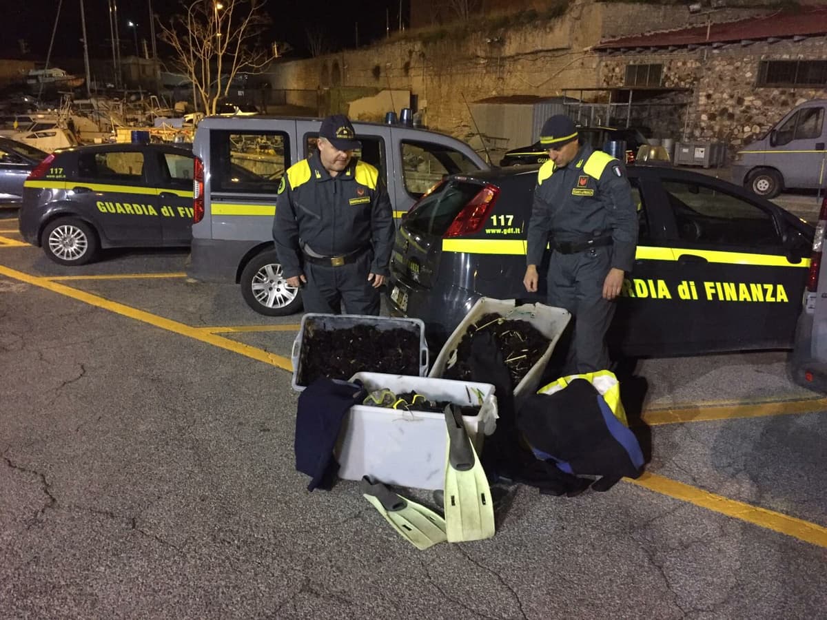 LA GUARDIA DI FINANZA SEQUESTRA 1.200 RICCI DI MARE